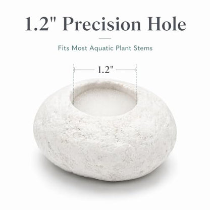 3 Pack White Pebble Plant Weights for Aquarium, Natural Drilled Stone Plant Anchors with 1.2 Inch Hole & Foam Sponge, Aquatic Plant Holders for Fish Tank, Terrarium, Succulent Planter - color: 1.2″ Hole 6pcs