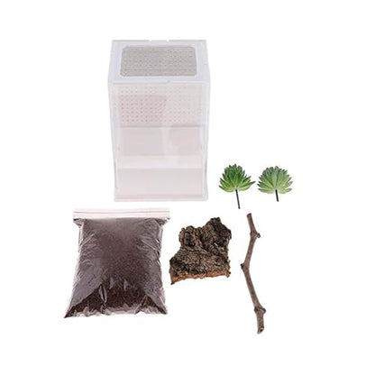 OMEM Reptile Breeding Box, Insect Incubator, for Orchid Mantis, African Phantom Mantis, Reptile Resting Habitat and Entertainment