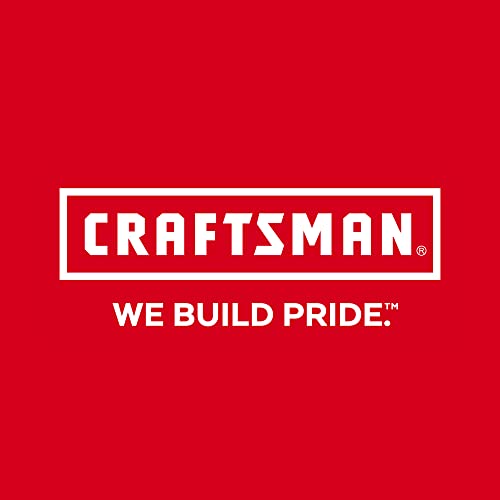 CRAFTSMAN CMMT98345 CRFT LED Inspection Mirror, Red