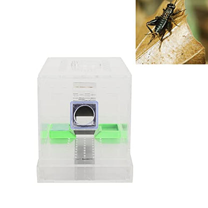 Acrylic Feeding Cricket, Pen with Tubes Cockroach Cricket Keeper Small Crickets Keepers Care Kit Reptile Boxl (S, 50X50X20Cm / 19.7X19.7X7.9In)
