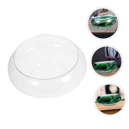 ibasenice 2Pcs Transparent Small Fish Tank Durable Aquarium for Goldfish Turtle and Small Reptiles Home Decor and Fish Breeding Box Capacity