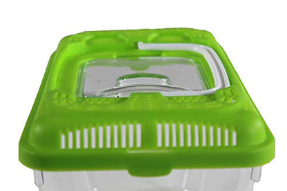 Penn-Plax Small World Habitat – Portable Clear and Transparent Plastic Tank – Excellent for Small Critters and Creatures – Easy to Clean & Handle – 0.6 Gallon - size: 0.6 Gallon
