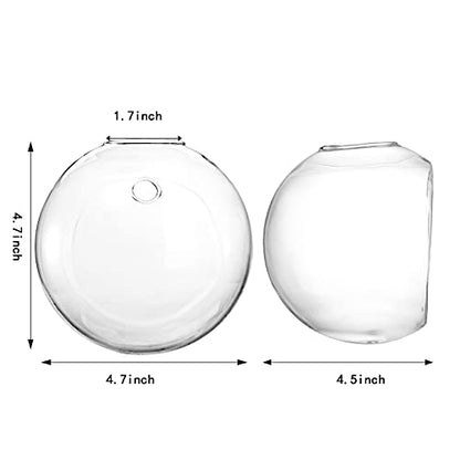6 Pack Wall Hanging Planters Terrarium, 4.7 Inch Glass Oblate Globe Plants Containers, Wall Mount Clear Flower Vase for Propagating Hydroponics Plants, Air Plants (Plants Not Included)