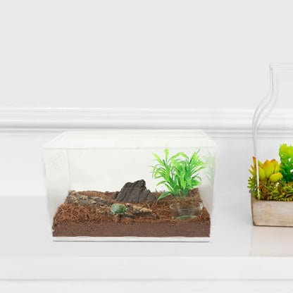 Abaodam Reptile Terrarium Acrylic Tank 25x15x15cm Enclosure with 4pcs Starter Kit for Lizards, Tarantulas, Frogs, Suitable for Home Breeding and Pet Habitat