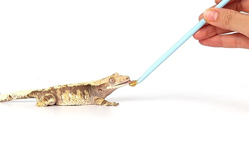 2Pcs Blue Reptile Feeding Spoon, Crested Gecko Food Mixing Stirrer | Food Grade Spatula Head, Scrapes Jar Edges Clean, Smooth Mixing for Reptile Powder Fruit Gel Diet - size: 1 Ounce (Pack of 2)
