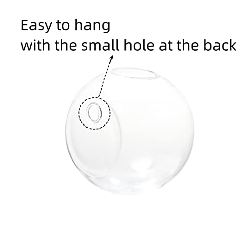Wall Hanging Planters Terrarium Glass Air Plant Holder Pots for Plants