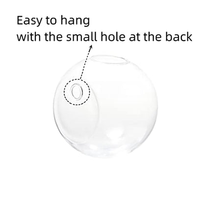 Wall Hanging Planters Terrarium Glass Air Plant Holder Pots for Plants