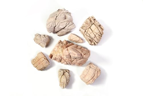 Elephant Skin Stone Natural Aquascaping Rock 18lb Planted Tank | Wrinkled texture; iwagumi, reptile terrarium - size: 11 Elephant Skin Stone(3-9 inches,18lbs)