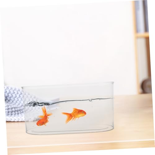 YARNOW Desktop Transparent Plastic Aquarium Shatterproof Betta Fish Tank for Turtle Reptile Shrimp and Crab Habitat Easy to Clean Compact Design for Home Office