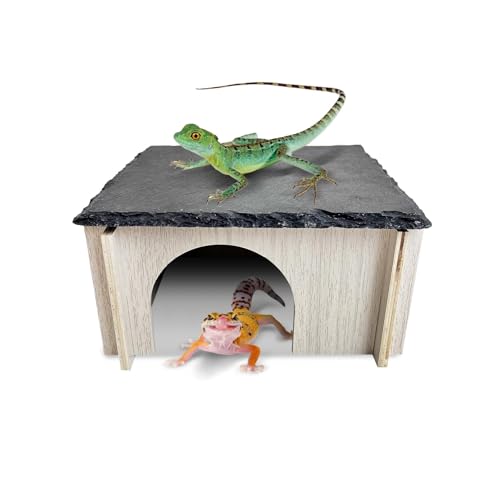 PINVNBY Bearded Dragon Basking Platform, Wood Reptile Hides and Caves, Crested Gecko Hide with Slate Rock, Leopard Gecko Tank Accessories for Small Lizard Snake Turtle (S: 5.9x5.9 inches) - size: S: 5.9x5.9 inches