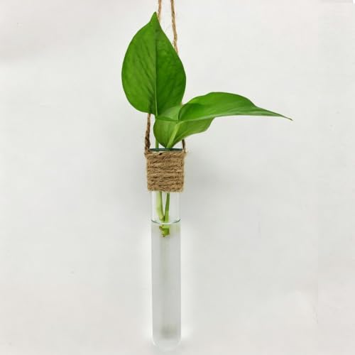 Plant Propagation Station 4 Pieces Clear Glass Planter | Plant Test Tube Wall Terrarium for Home Office Bedroom Living Room