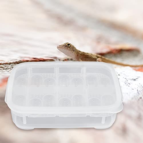 Compartment Reptile Hatchery Egg Incubation Box Heat Lamp for Enclosures