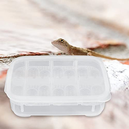 Compartment Reptile Hatchery Egg Incubation Box Heat Lamp for Enclosures