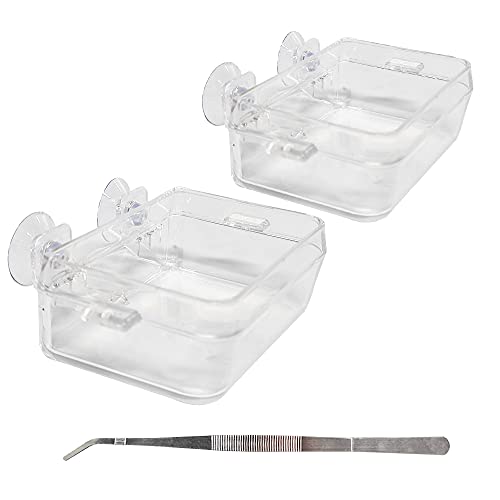 Chameleon Bowl and a Reptile Feeding Tongs 2pcs Feeder and Water Cups with Suction for Iguana Lizard Gecko Worm