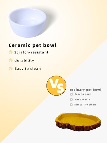 6 Pcs Spider Micro Ceramic Water Bowl, Mini Pet Dish for Spider (1.5 oz) - size: 1.5 oz