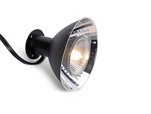 50w GU10 Reptile Basking Heat Lamp