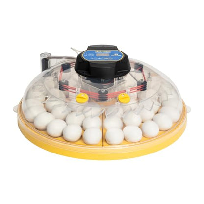 Brinsea Maxi 48 EX Connect Fully Automatic Smart Egg Incubator with App | 50+ years of innovation! Ultimate smart incubator with app-driven controls and real time alerts gives you total peace of mind