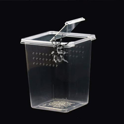 3 Pcs Acrylic Transparent Insect Reptile Spider Terrariums Breeding Box Hatching Container,Portable Small Reptile Animal Habitat Cage,Plastic Transport Container(Big Size)