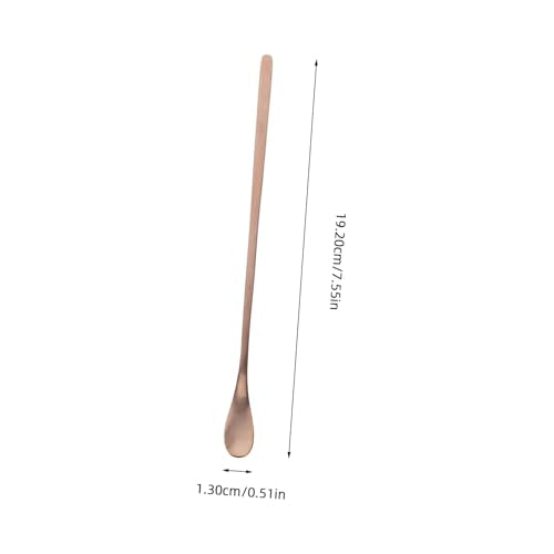 Kisangel 2Pcs Stainless Steel Reptile Food Spoon Long Handle Lizard Feeding Tool for Small Animals Durable and Easy Pet Feeding and Maintenance