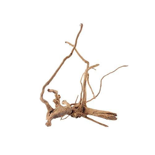 Emours Natural Aquarium Spider Wood Driftwood Tropical Fish Plant Habitat Decor Vary Sizes, 2 Pcs Set (Medium)