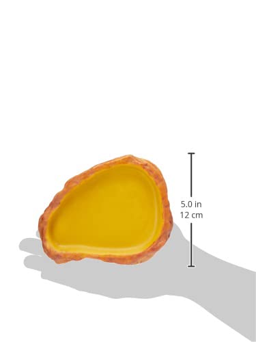 Exo Terra Feeding Dish - Medium - size: Medium