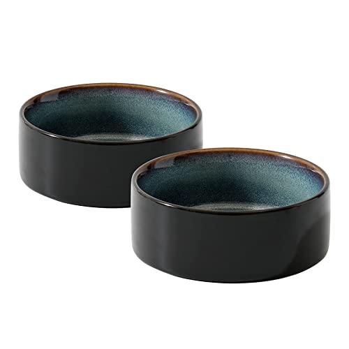 Havniva Cat Bowls Set of Two, 6.1” Ceramic Cat Food and Water Bowls | Cat Food Bowls Whisker Friendly, Non-Slip Base, Food-Grade Ceramic, Wide Opening, Dishwasher Safe, Cat Bowls for Indoor Cats - color: Starry Sky, size: 2 Bowls - 6.1"