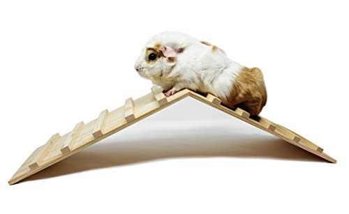 Wood Bridge for Small Animal Cage or Habitat - Guinea Pigs, Ferrets, Chinchillas, Hedgehog, Dwarf Rabbits and Other Small Animals