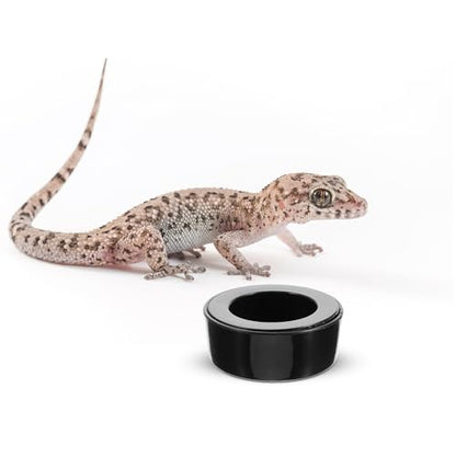 Escape-Proof Reptile Feeding Bowl Plastic Water Dish Large Round Terrarium Feeder for Snakes Lizards Turtles and Geckos