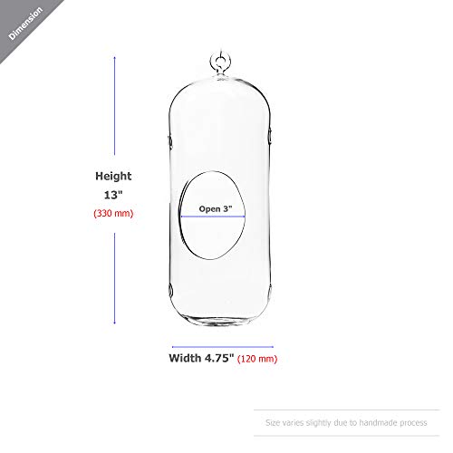 WGV Hanging Glass Plant Terrarium, Width 5", Height 13", Lantern DIY Air Succulent Planter Clear Tea Light Votive Candle Holder, Wedding Event Office Home Outdoor Decor, 1 Piece