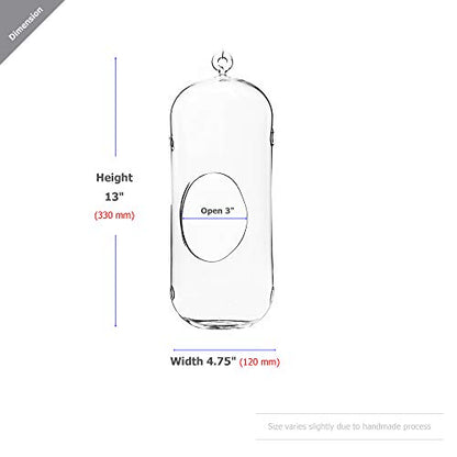 WGV Hanging Glass Plant Terrarium, Width 5", Height 13", Lantern DIY Air Succulent Planter Clear Tea Light Votive Candle Holder, Wedding Event Office Home Outdoor Decor, 1 Piece