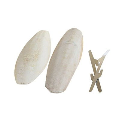 emours Natural Cuttlefish Bone for Reptiles, Tortoises, Snails, Birds and Small Animals, 4-5 inch, Twin Pack - size: 4-5 Inch (Pack of 2)