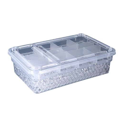 Reptile Breeding Hatching Box, PP Transparent Container with Clear Cover, Anti-Slip Incubator Box for Turtle, Gecko, Snake Egg Hatching