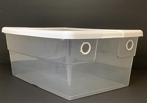 Vented Vivarium 16 Quart Container with 2 Vent Terrarium for Isopods, Reptiles, Scorpions, and Other Invertebrates