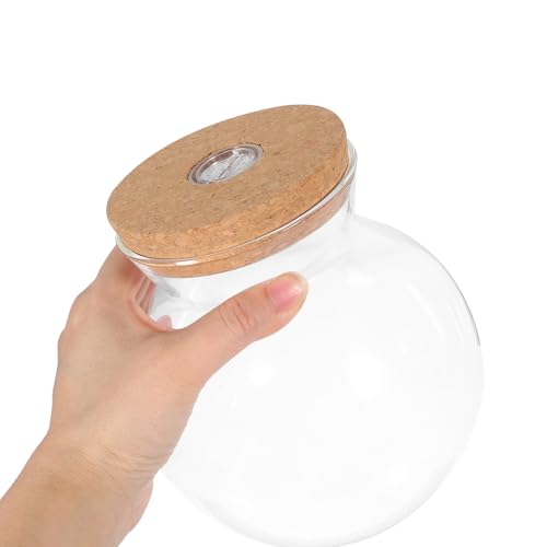 Abaodam Glass Terrarium Jar with Led Light Base, Small Container for Indoor Plants, DIY Micro Landscape Ecosystem Kit for Fish Tank Desktop Decor