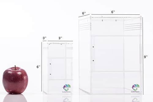 EctoTherm Jumping Spider Enclosure Kit - size: Small/Medium