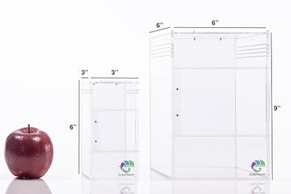 EctoTherm Jumping Spider Enclosure Kit - size: Small/Medium
