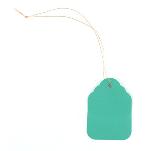 Ruilogod Plastic Garden Home Rectangle Shaped Plant Seed Hang Tag Label Marker 5 x 7cm 100pcs Turquoise (id: 4f0 9f0 2ea 0bb a40
