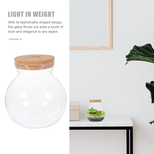 Glass Terrarium Jar with Led Light, Closed Terrarium Jar with Lid for Moss | Ideal for Succulents And Betta Fish Tank, Clear Round Desk Plant Container Ecosystem for Home & Office Decor (no Plants) - size: 16.00X15.00X15.00CM