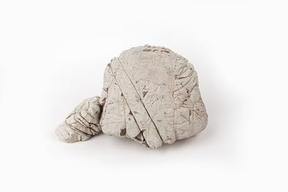 Elephant Skin Stone Grey Aquascaping Rock 18lb Planted Aquarium | Grey wrinkled texture; iwagumi and terrarium - size: 16 Elephant Skin Stone Grey(3-9 inches,18lbs)