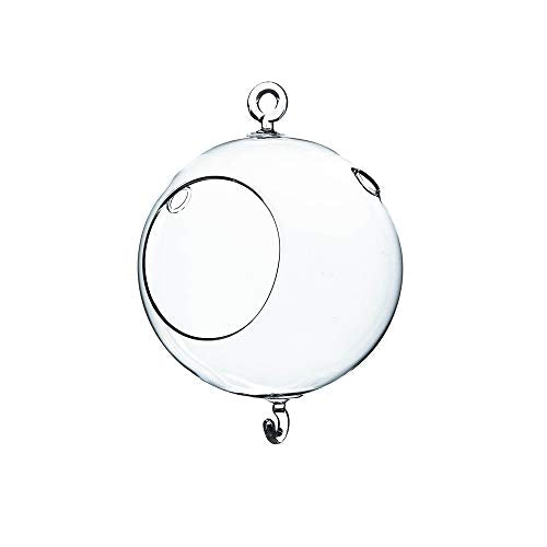 WGV Hanging Terrarium Globe, Width 5", Height 7", Double Hook, DIY Air Succulent Planter, Clear Glass Vase Orb, Candle Holder for Windowsill Outdoor Garden Decor, 1 Piece - size: 5" Double Hook