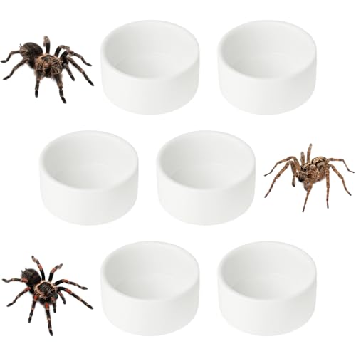 6 Pcs Spider Micro Ceramic Water Bowl, Mini Pet Dish for Spider (1 oz) - size: 1 oz