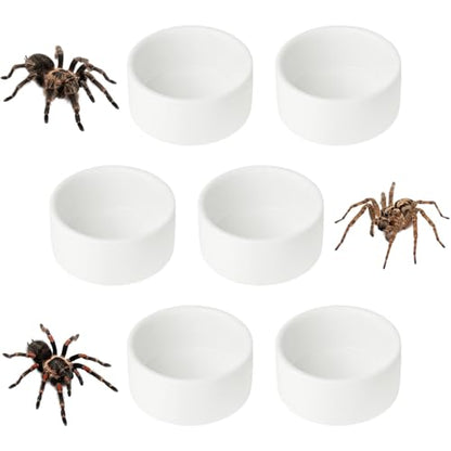 6 Pcs Spider Micro Ceramic Water Bowl, Mini Pet Dish for Spider (1 oz) - size: 1 oz