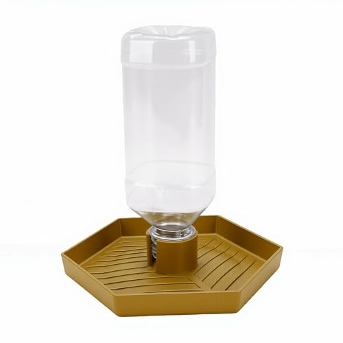 GLOGLOW Food and Water Bowl for Lizard Chameleon (Earthy Yellow) - color: Earthy Yellow