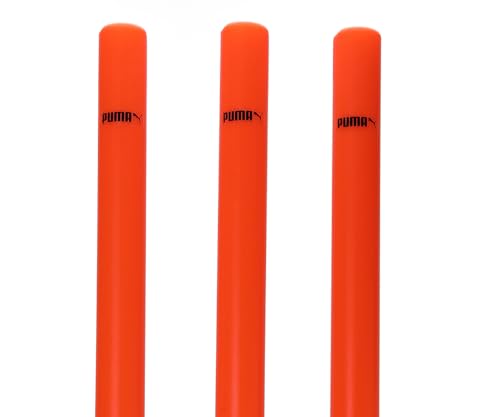 PUMA Mens FUTURE RB Cricket Stumps, Red (5438001)