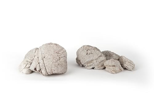 Elephant Skin Stone Grey Aquascaping Rock 18lb Planted Aquarium | Grey wrinkled texture; iwagumi, planted terrarium - size: 16 Elephant Skin Stone Grey(3-9 inches,18lbs)