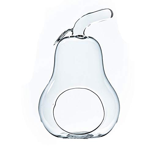 WGV Planter Terrarium Bulk, Width 5.5", Height 8", Clear Unique Pear Glass Vase Conatiner, DIY Planter Votive Candle Holder for Home Office Garden Decor, 6 Pieces - size: Pear