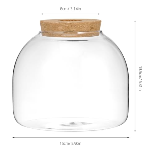 Toddmomy Glass Terrarium Jar with Stopper 5.90In Small Hydroponic Plant Container for Home Office Micro Landscape Decorative Ecosystem
