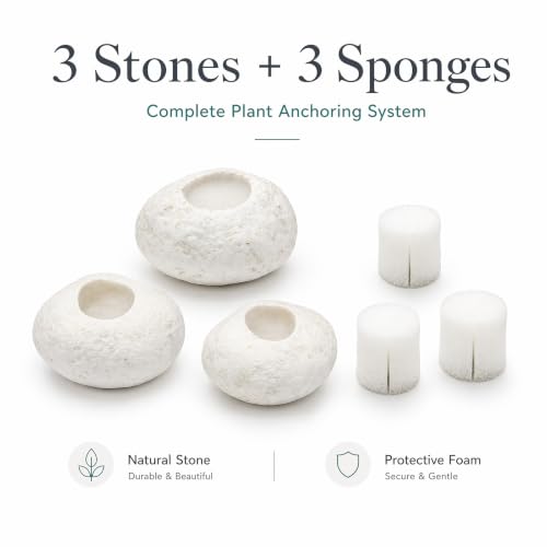 3 Pack White Pebble Plant Weights for Aquarium, Natural Drilled Stone Plant Anchors with 1.2 Inch Hole & Foam Sponge, Aquatic Plant Holders for Fish Tank, Terrarium, Succulent Planter - color: 1.2″ Hole 6pcs