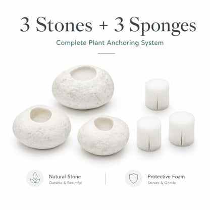 3 Pack White Pebble Plant Weights for Aquarium, Natural Drilled Stone Plant Anchors with 1.2 Inch Hole & Foam Sponge, Aquatic Plant Holders for Fish Tank, Terrarium, Succulent Planter - color: 1.2″ Hole 6pcs