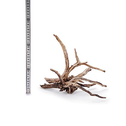 Kueiyang Hornwood for Aquascaping, Aquarium Driftwood Decor, Natural Branches(12-16 inches, 30-40cm) 4pcs Terrariums Vivariums Reptile and Amphibian Enclosures Various Shapes - size: XL (12-16 inches, 30-40cm), 4pcs